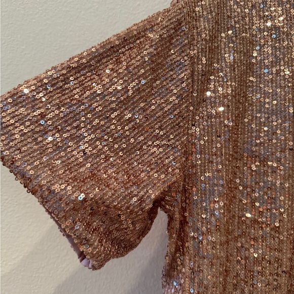 H&M Rose Gold Sequin Top Size Large. Jersey lining - Picture 2 of 4